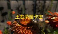 王者荣耀卡密